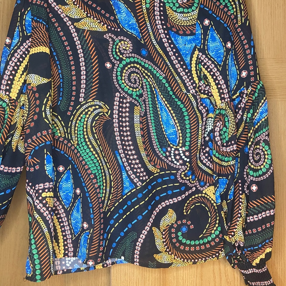 Vici Sheer Blouse